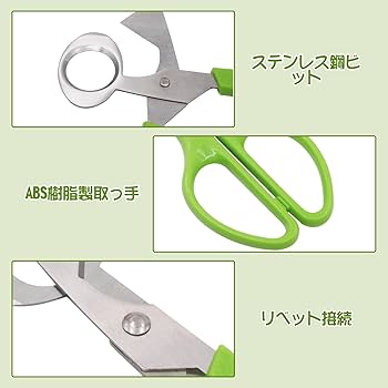 うずら卵 楽天市場】大洋物産 うずら卵水煮 固形量430g（50～55個入）中国